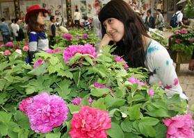 2026年明堂天堂景区门票79元