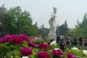 2019年洛阳牡丹花会游客关注话题详解
