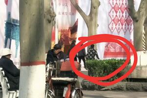 洛阳牡丹花会变小偷大会?赏花游玩需警惕!